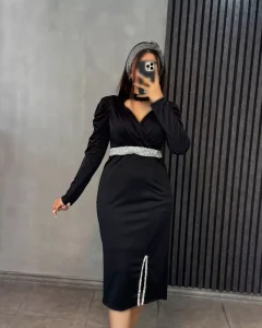 مجلسی مدل نیوشا