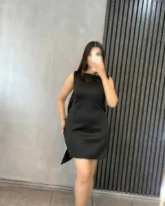 مجلسی مدل دلوین